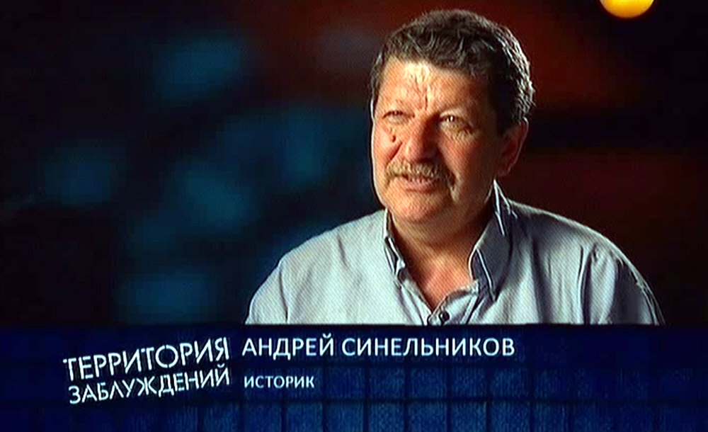 Андрей Синельников - историк